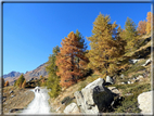 foto Lago Miserin